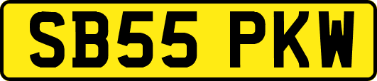 SB55PKW
