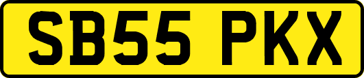 SB55PKX