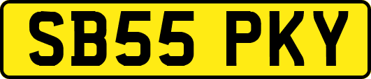SB55PKY