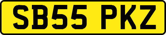 SB55PKZ