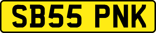 SB55PNK