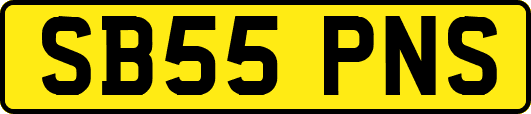 SB55PNS