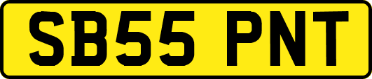 SB55PNT