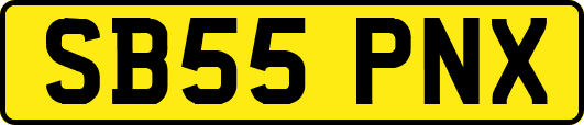 SB55PNX