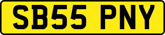 SB55PNY