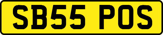 SB55POS