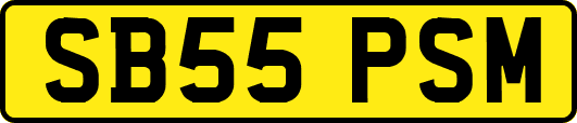 SB55PSM