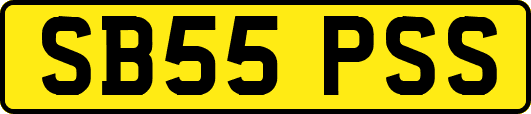 SB55PSS