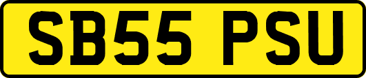 SB55PSU