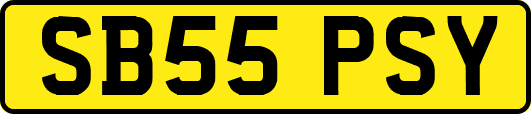 SB55PSY