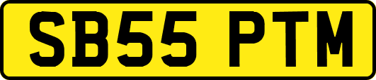 SB55PTM