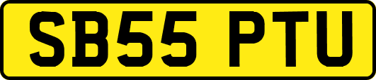 SB55PTU
