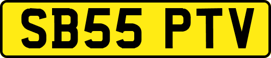 SB55PTV