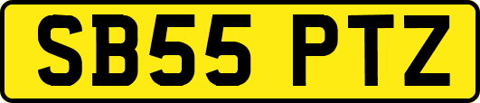 SB55PTZ