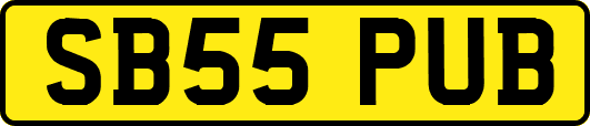 SB55PUB