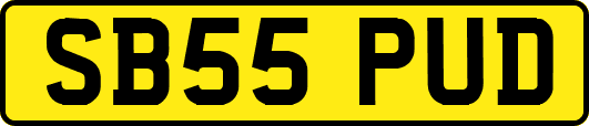 SB55PUD