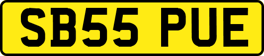 SB55PUE