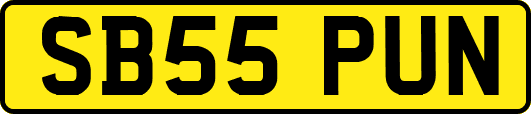 SB55PUN