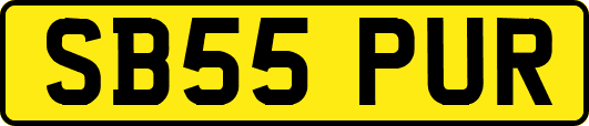 SB55PUR
