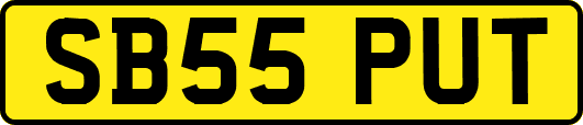 SB55PUT