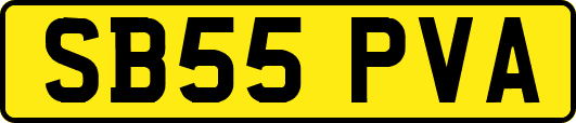 SB55PVA