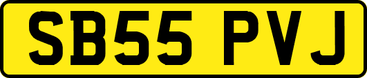 SB55PVJ