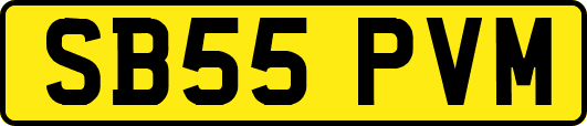 SB55PVM