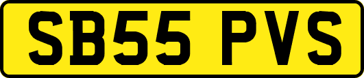 SB55PVS
