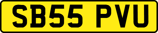 SB55PVU