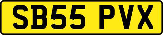 SB55PVX