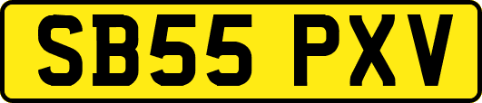 SB55PXV