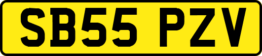 SB55PZV