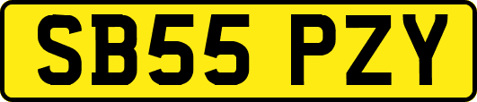 SB55PZY
