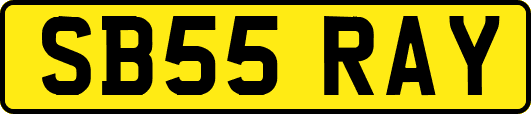 SB55RAY