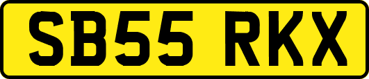 SB55RKX