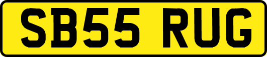SB55RUG