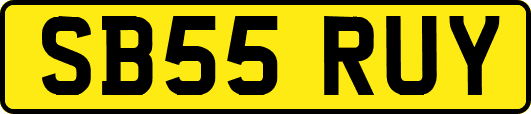SB55RUY