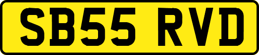 SB55RVD