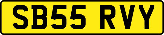 SB55RVY