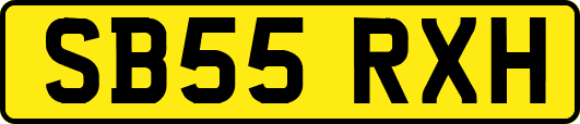 SB55RXH