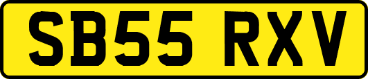 SB55RXV