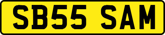 SB55SAM