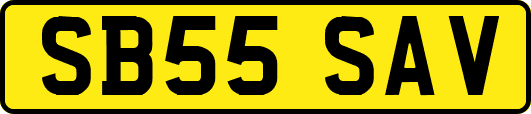 SB55SAV