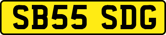 SB55SDG