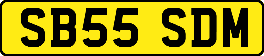 SB55SDM