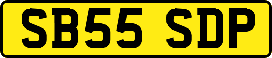SB55SDP