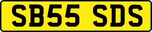 SB55SDS