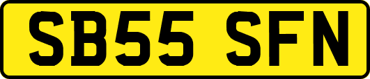 SB55SFN