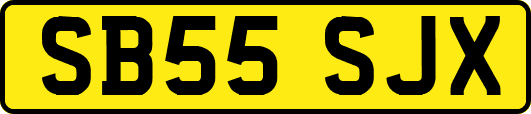 SB55SJX