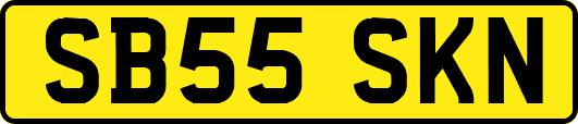 SB55SKN